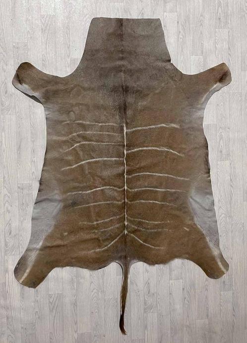 OPRUIMING: Vel Afrikaanse KUDU ANTILOPE / Kudu huid, Huis en Inrichting, Stoffering | Tapijten en Vloerkleden, Gebruikt, 150 tot 200 cm