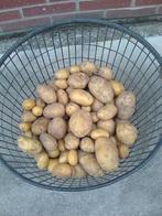 aardappelen, Zakelijke goederen, Ophalen