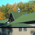 FAILLISSEMENTSPARTY Groene onduline bitumen golfplaat 200x95, Enlèvement, Neuf, Autres matériaux, Moins de 20 mm