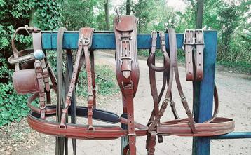  🔴ZGAN  BRUIN CHIQUE COB-MAAT ENKELSPAN TUIG 225 €. 🔴  beschikbaar voor biedingen