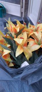 Gele lelies, Tuin en Terras, Planten | Tuinplanten, Ophalen