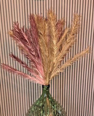 Pampas artificielle  beschikbaar voor biedingen