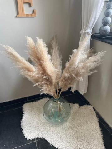 Grand vase avec pampas  beschikbaar voor biedingen