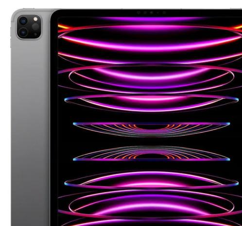 Ipad Pro 12.9 pouces (2022) 2Tb 18Go Gris Sidéral, Computers en Software, Apple iPads, Gebruikt, Apple iPad Pro, Wi-Fi, 12 inch
