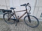 Elektrische fiets minerva midden motor, Enlèvement