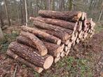 Boomstammen voor brandhout, Jardin & Terrasse, Bois de chauffage, Enlèvement ou Envoi, Troncs d'arbres