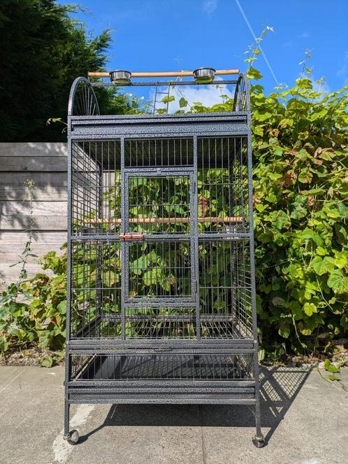 papegaaienkooi Queen - 220, Dieren en Toebehoren, Vogels | Hokken en Kooien, Nieuw, Vogelkooi, Metaal, Ophalen of Verzenden