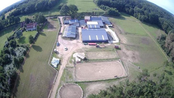 Stalling plus weidegang ., Dieren en Toebehoren, Paarden