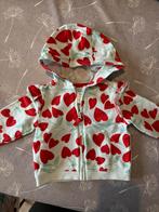 Golfje en vestjes maat 62, Ophalen of Verzenden, Zo goed als nieuw, Cuddles & smiles, Truitje of Vestje