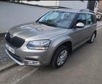 Skoda Yeti, Auto's, Skoda, Euro 5, 1600 cc, Beige, Bedrijf