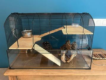 Kooi voor kleine knaagdieren zoals gerbils beschikbaar voor biedingen