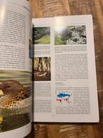 Histoire naturelle de la sauvagine, couverture rigide par To, Enlèvement ou Envoi, Comme neuf, Oiseaux, Frank S. Todd