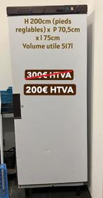 Frigo pro 517litres de volume utile, Electroménager, 160 cm ou plus, Sans bac à congélation, Enlèvement, Utilisé