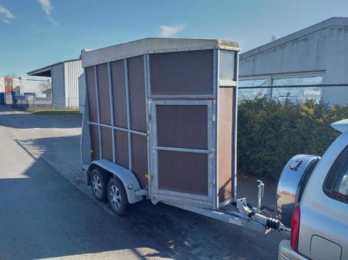 Paardentrailer, Dieren en Toebehoren, Paarden en Pony's | Trailers en Aanhangwagens, Gebruikt, 1½-paards trailer, Polyester, Ophalen