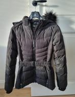 TK: winterjas (meisje) - Cars Jeans - maat: 164, Meisje, Nieuw, Ophalen of Verzenden, Cars Jeans