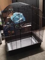 vogel kooi , papegaaienkooi, Ophalen of Verzenden, Metaal, Vogelkooi
