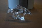 Swarovski Lead me dolphin (153850), Figurine, Enlèvement ou Envoi, Neuf