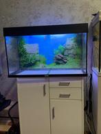 Pack complet aquarium’s, Enlèvement ou Envoi, Comme neuf