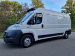 Fiat Ducato Frigo (43), Voorwielaandrijving, Wit, Overige carrosserie, 195 g/km