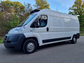 Fiat Ducato Frigo (43) beschikbaar voor biedingen