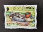 Jersey 2004 - vogels - eenden - wintertaling, Postzegels en Munten, Ophalen of Verzenden, Gestempeld