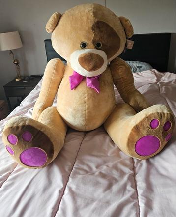 Super grote beer  beschikbaar voor biedingen