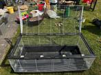 Dierenkooi, Dieren en Toebehoren, Knaagdieren en Konijnen | Hokken en Kooien, Kooi, Hamster, Ophalen, Minder dan 60 cm