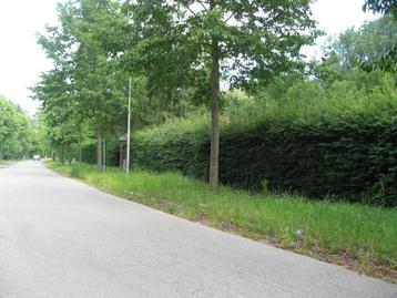 Grond te koop in Kampenhout beschikbaar voor biedingen