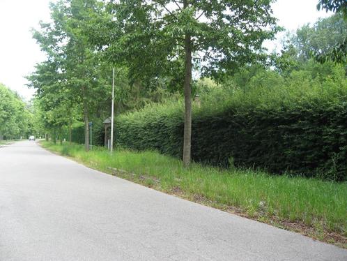 Grond te koop in Kampenhout, Immo, Gronden en Bouwgronden, tot 200 m²