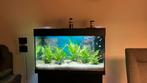 Jewel Rio 125 LED, Dieren en Toebehoren, Ophalen, Zo goed als nieuw, Leeg aquarium