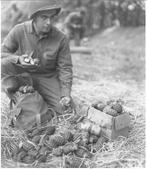 Mk2A1 avec M10A3 de l'armée américaine pendant la Seconde Gu, Enlèvement ou Envoi