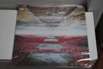 LP : Tangerine Dream - Statosfear, Cd's en Dvd's, Ophalen of Verzenden, Gebruikt