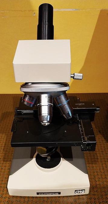 Microscope Olympus CH2 