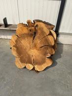 3 Dikke sequoia schijven voor tafel of decoratie, Ophalen