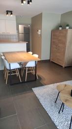 Gezellig ingericht appartement centraal in Nieuwpoort-Bad, Immo, Tot 200 m², Appartement, 1 kamers, Nieuwpoort
