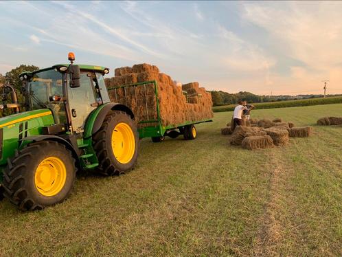 Petits ballots de foin sur champ, Articles professionnels, Agriculture | Aliments pour bétail