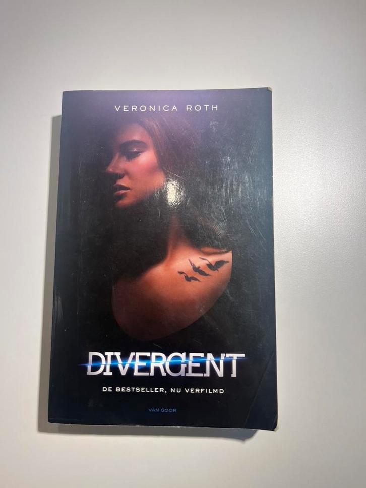 Veronica Roth - Divergent, Boeken, Kinderboeken | Jeugd | 13 jaar en ouder, Gelezen, Fictie, Ophalen of Verzenden