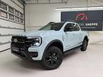 Ford Ranger 2,3 l EcoBoost Plug In Hybrid! Stormtrak!, Argent ou Gris, Achat, Entreprise, Autres carburants