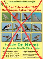 Putters sijzen goudvinken groenlingen, Dieren en Toebehoren, Vogels | Overige Vogels