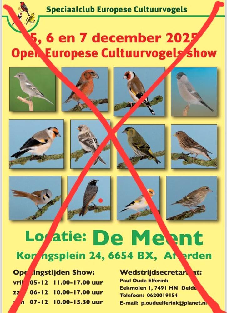 Putters sijzen goudvinken groenlingen, Dieren en Toebehoren, Vogels | Overige Vogels