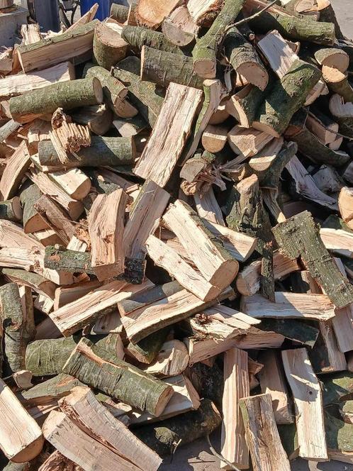 1ste keus brandhout: eik, Tuin en Terras, Brandhout, Blokken, Eikenhout, 3 tot 6 m³, Verzenden