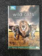 3 DVD box Wild Cats BBC World, Ophalen of Verzenden