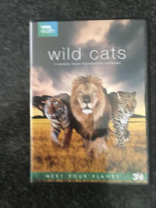 3 DVD box Wild Cats BBC World, Cd's en Dvd's, Dvd's | Documentaire en Educatief, Ophalen of Verzenden