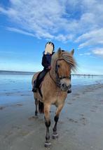 Recreatie fjorden merrie, Enlèvement, Comme neuf