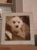 Gravures laser sur mesure (photos, horloges murales, etc.), Enlèvement ou Envoi, Neuf