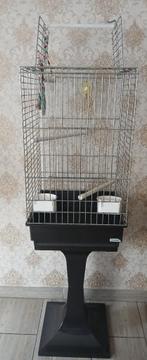 Grote vogelkooi te voet met complete accessoires, Ophalen of Verzenden