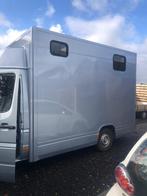 Mercedes sprinter camionette, Enlèvement, Utilisé, Autres espèces