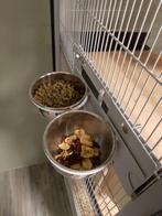 Cage, Animaux & Accessoires, 90 cm ou plus, 75 à 110 cm, Cage, Cobaye