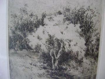 prachtige ets Mark Van Hove getiteld The Fence beschikbaar voor biedingen
