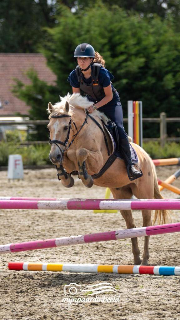 Mooi lieve d pony, Dieren en Toebehoren, Pony's, Ruin, D pony (1.37m tot 1.48m), 11 jaar of ouder